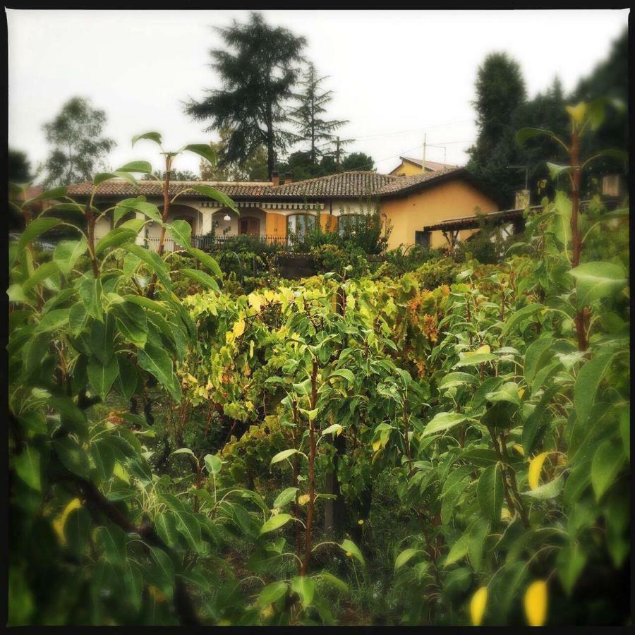 Pachamama Villa Nicolosi Eksteriør billede