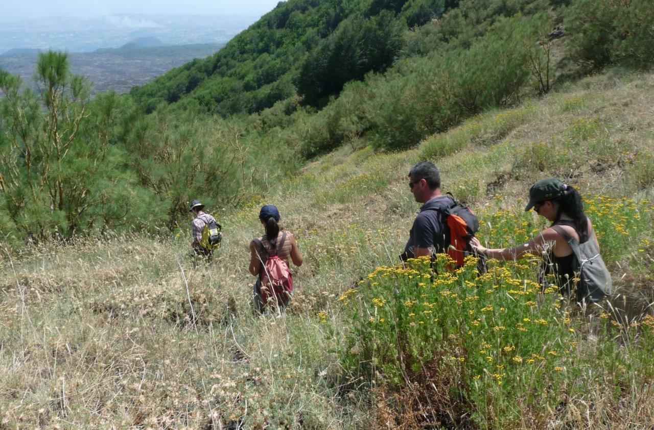 Pachamama Villa Nicolosi Eksteriør billede