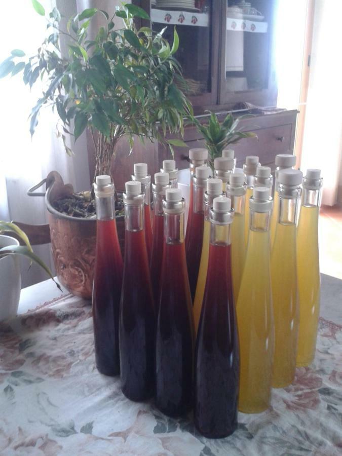 Pachamama Villa Nicolosi Eksteriør billede